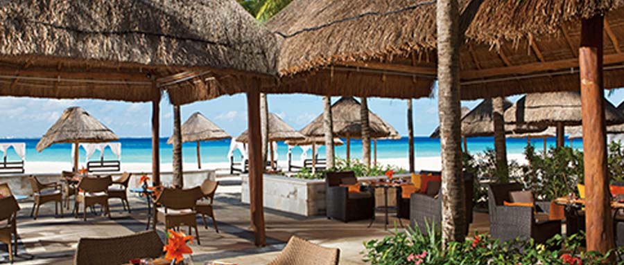 Dreams Sands Cancun Restaurants and Bars - Revive