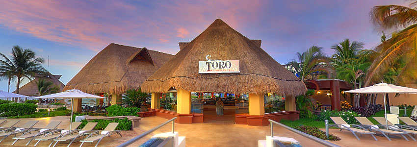 Hard Rock Riviera Maya Restaurants and Bars - Toro